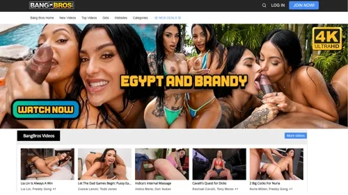 Bang Bros